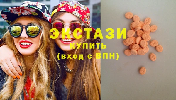 ECSTASY Богородицк